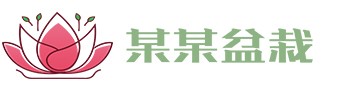 必一·运动(B-Sports)官方网站